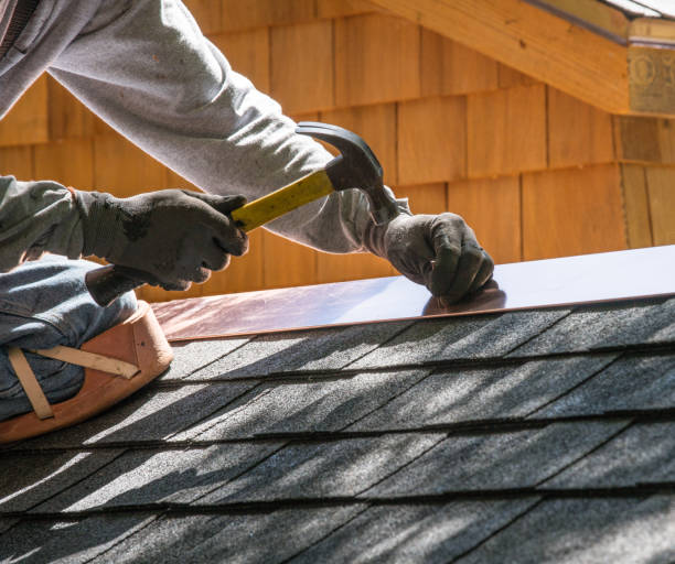 Best Roof Gutter Cleaning  in Prieton, NC